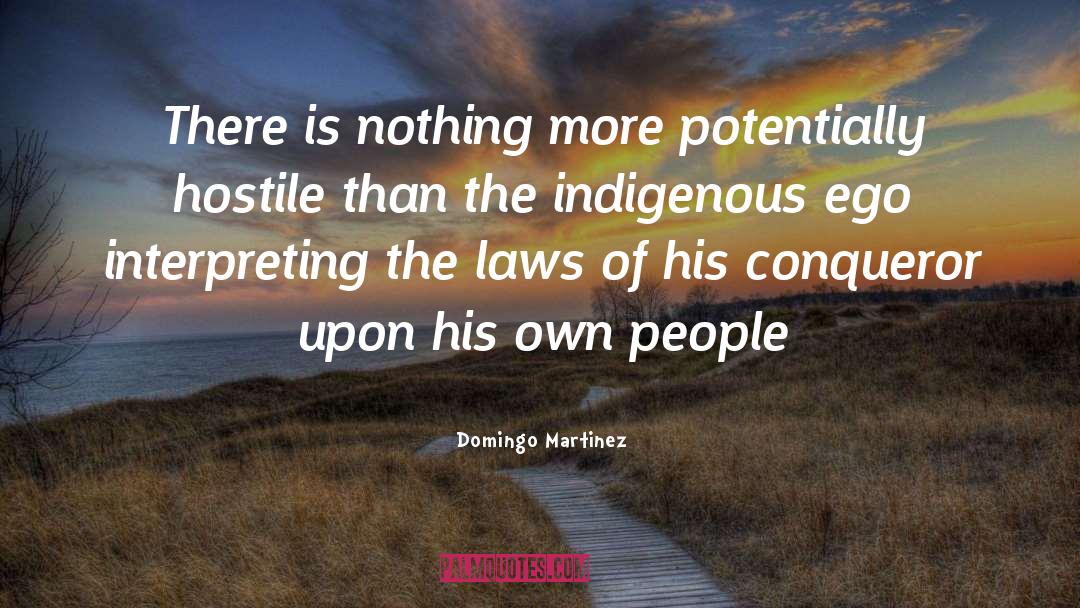 Domingo Martinez Quotes: There is nothing more potentially