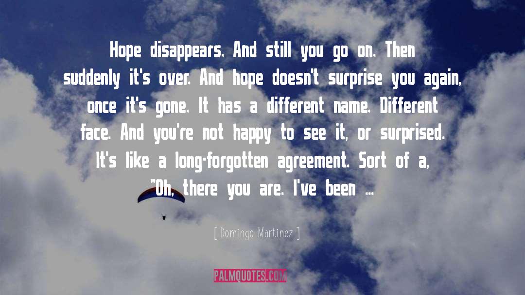 Domingo Martinez Quotes: Hope disappears. And still you