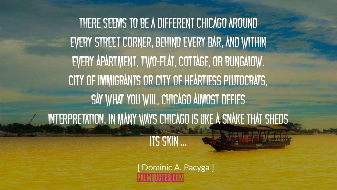 Dominic A. Pacyga Quotes: There seems to be a
