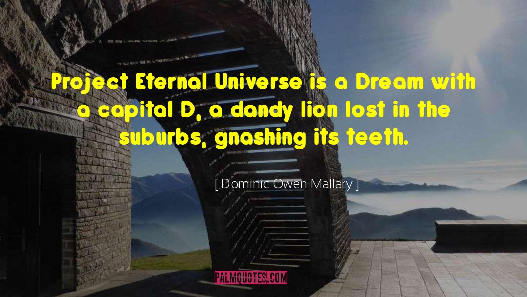 Dominic Owen Mallary Quotes: Project Eternal Universe is a