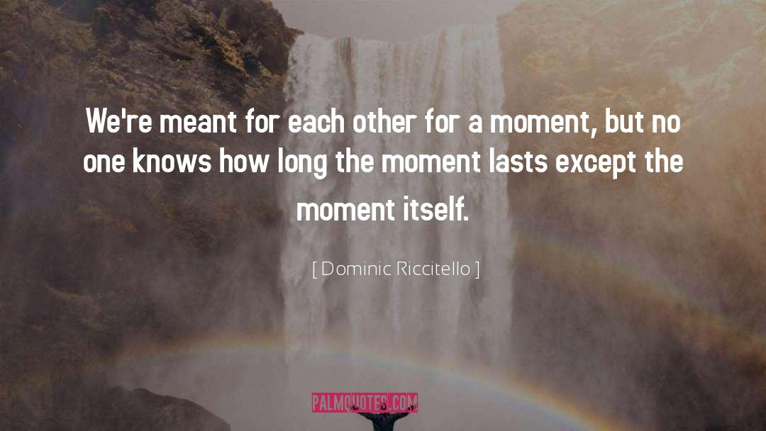 Dominic Riccitello Quotes: We're meant for each other