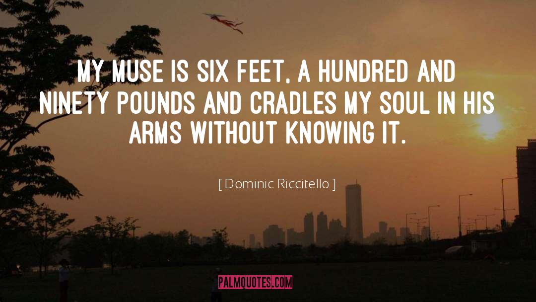 Dominic Riccitello Quotes: My muse is six feet,