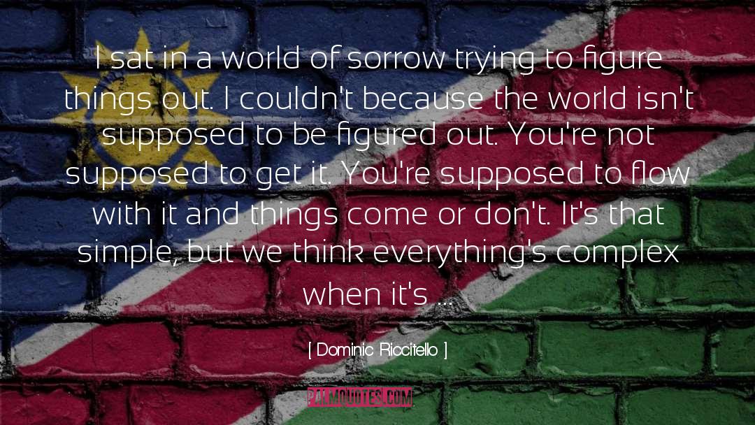 Dominic Riccitello Quotes: I sat in a world