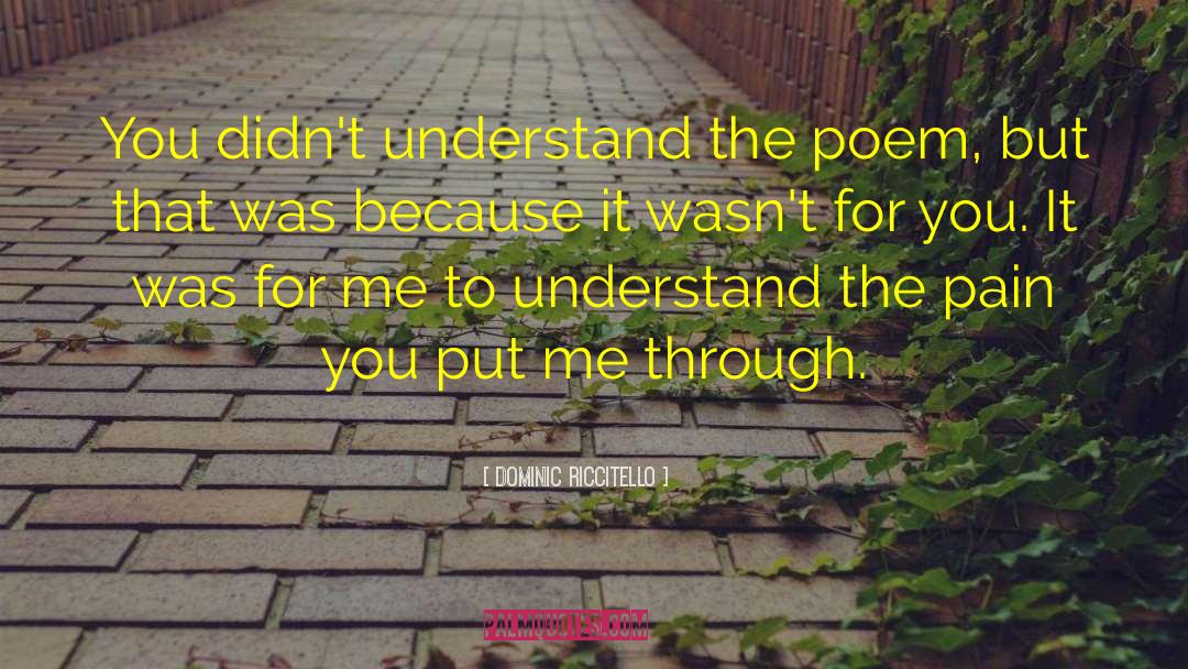 Dominic Riccitello Quotes: You didn't understand the poem,