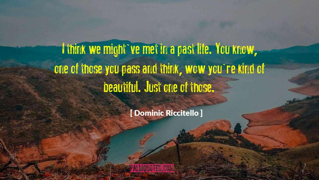 Dominic Riccitello Quotes: I think we might've met