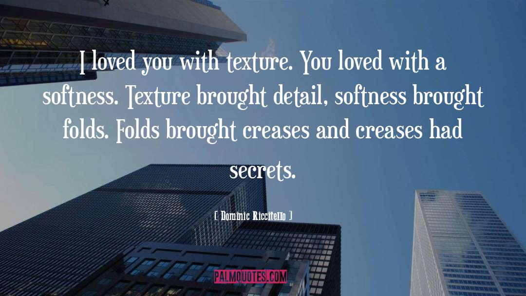 Dominic Riccitello Quotes: I loved you with texture.