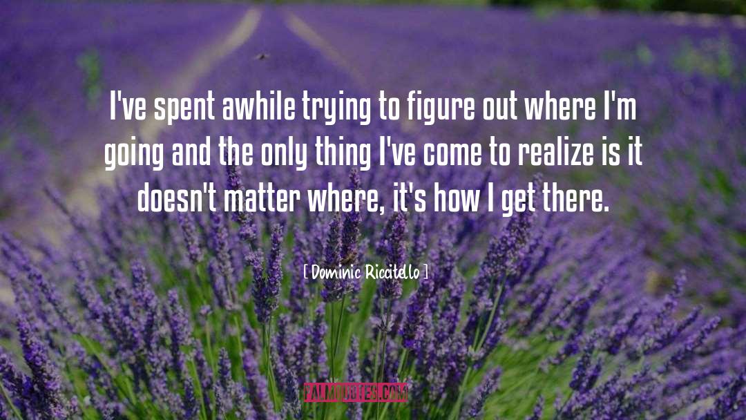 Dominic Riccitello Quotes: I've spent awhile trying to