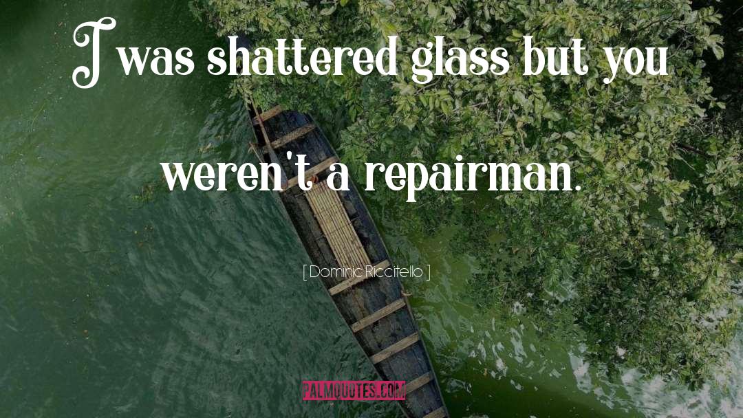 Dominic Riccitello Quotes: I was shattered glass but