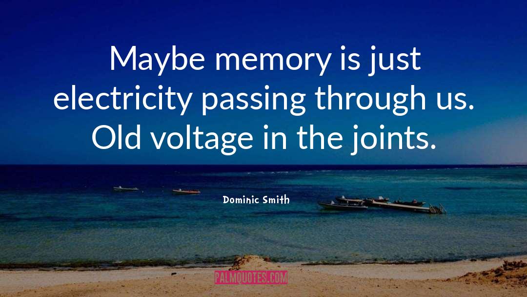 Dominic Smith Quotes: Maybe memory is just electricity