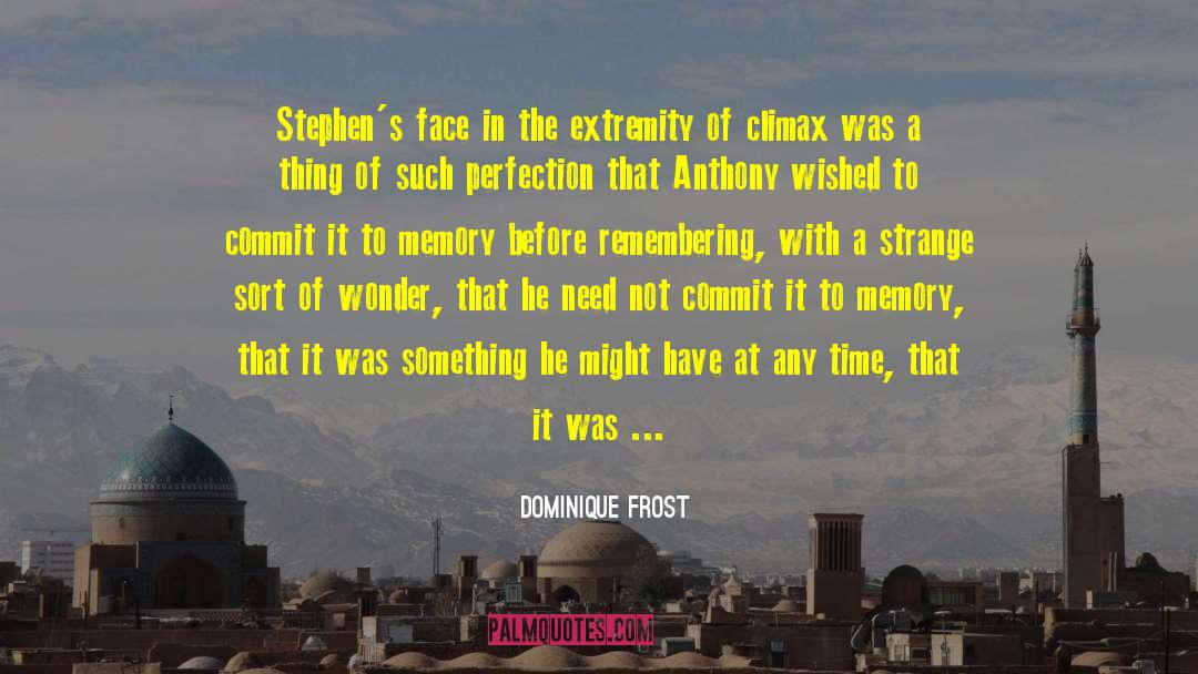 Dominique Frost Quotes: Stephen's face in the extremity