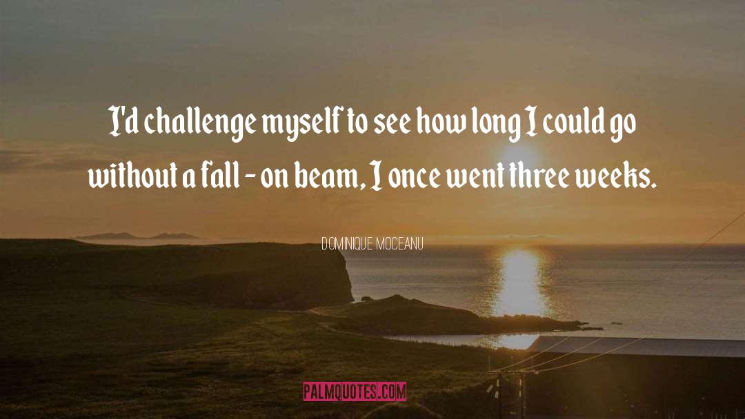 Dominique Moceanu Quotes: I'd challenge myself to see