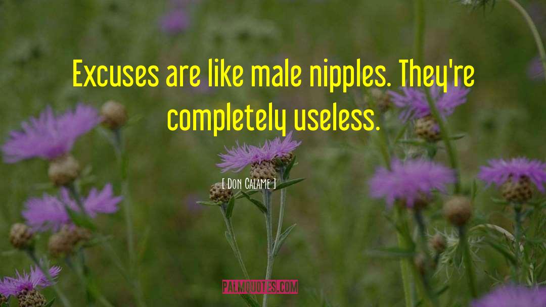 Don Calame Quotes: Excuses are like male nipples.