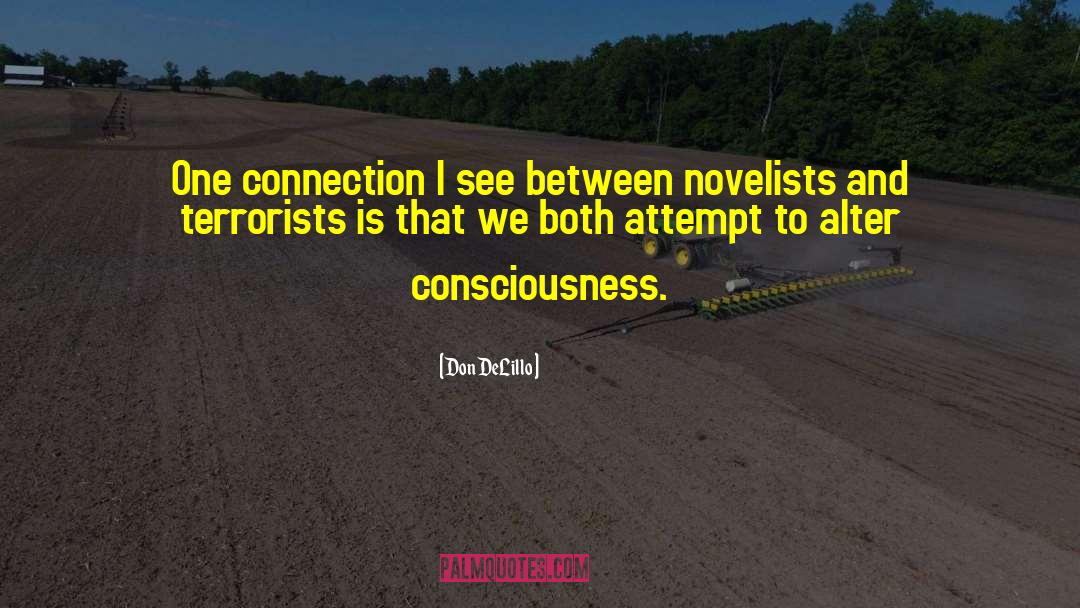 Don DeLillo Quotes: One connection I see between