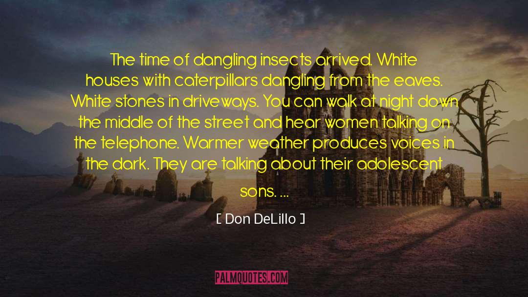 Don DeLillo Quotes: The time of dangling insects