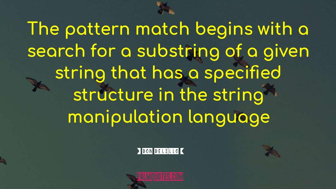 Don DeLillo Quotes: The pattern match begins with