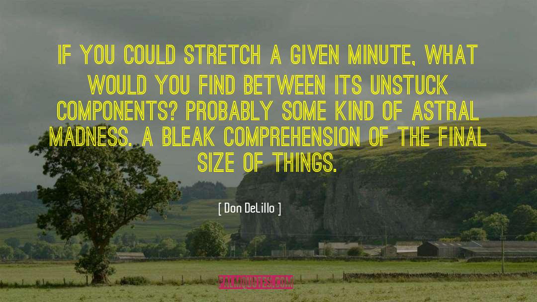 Don DeLillo Quotes: If you could stretch a