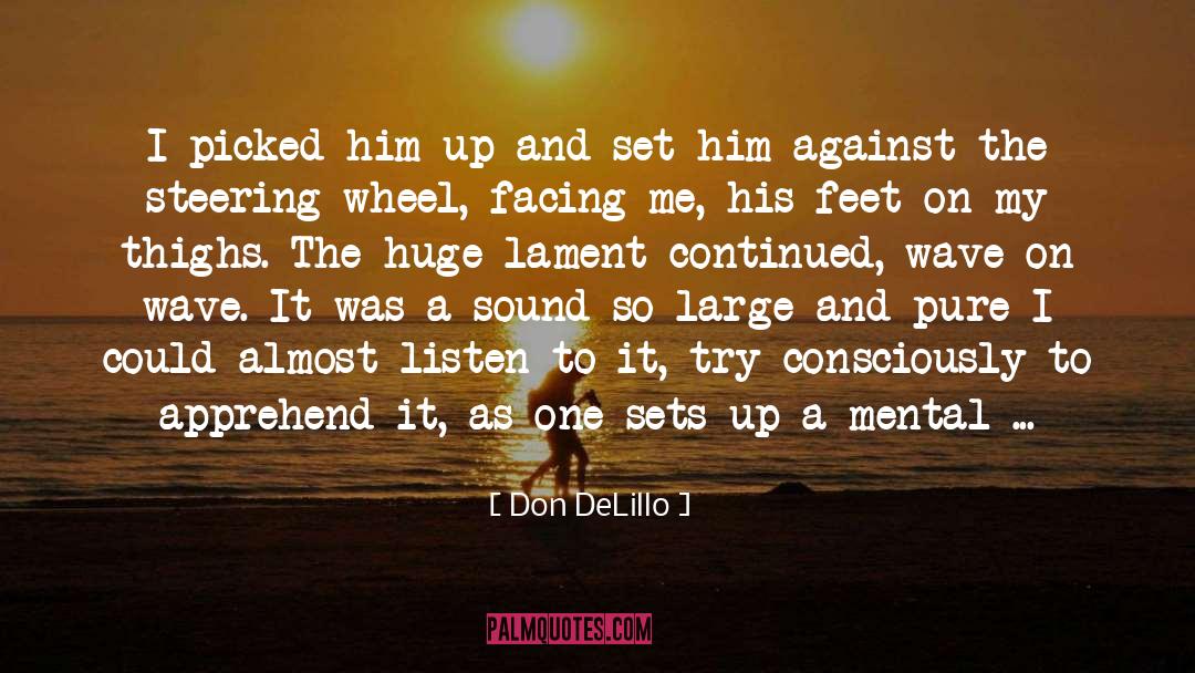 Don DeLillo Quotes: I picked him up and