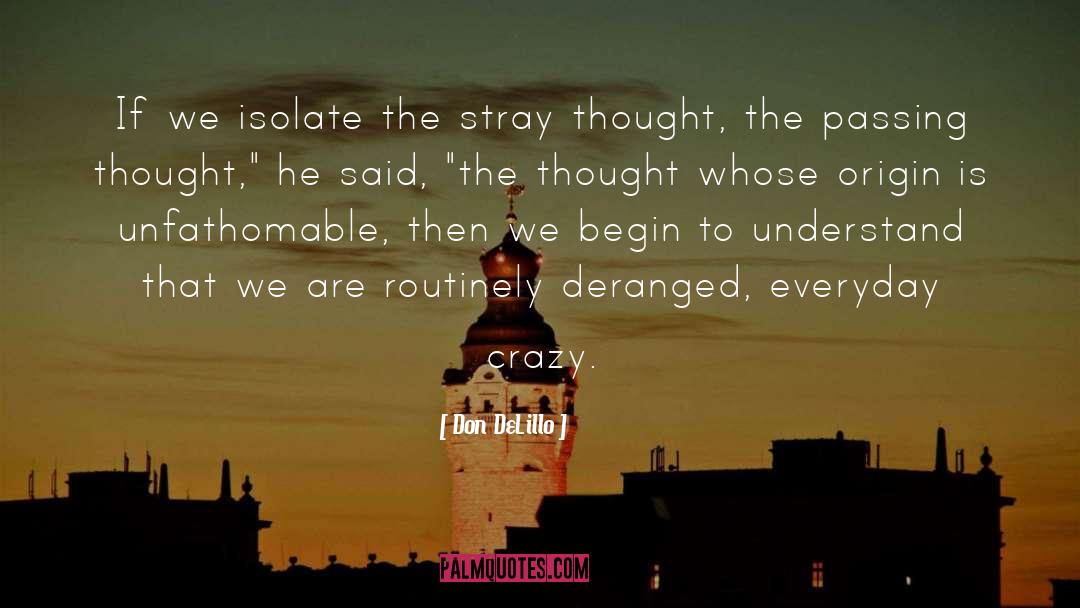 Don DeLillo Quotes: If we isolate the stray