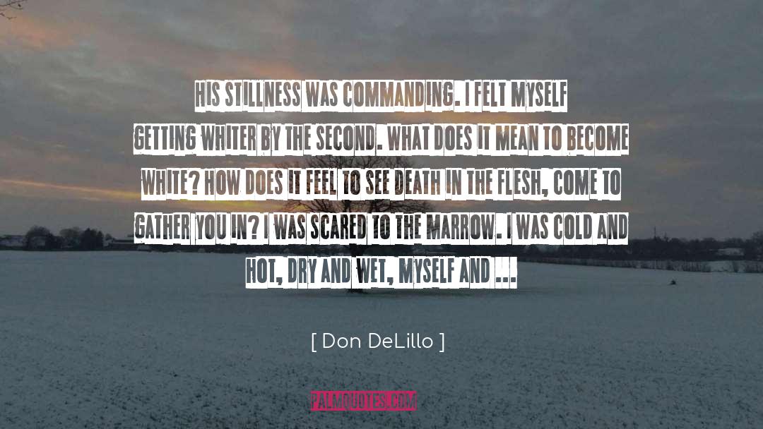 Don DeLillo Quotes: His stillness was commanding. I