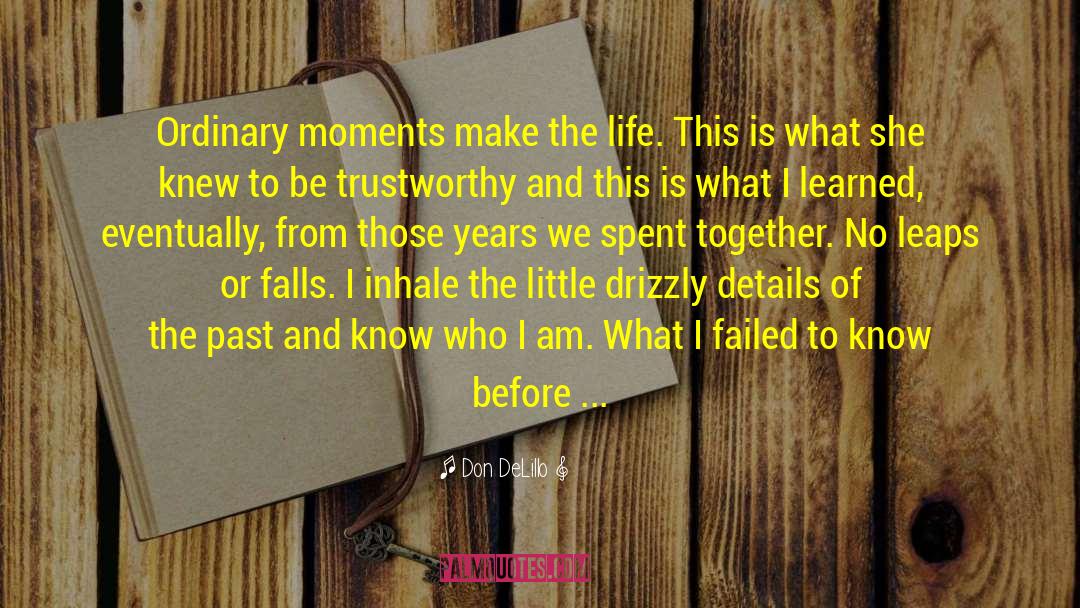 Don DeLillo Quotes: Ordinary moments make the life.