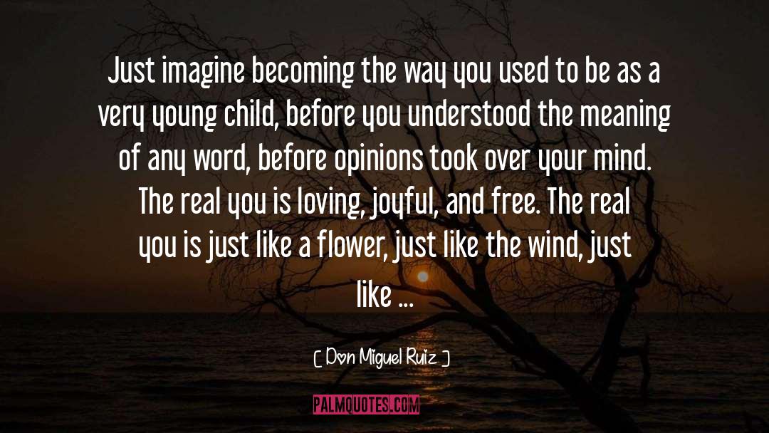 Don Miguel Ruiz Quotes: Just imagine becoming the way