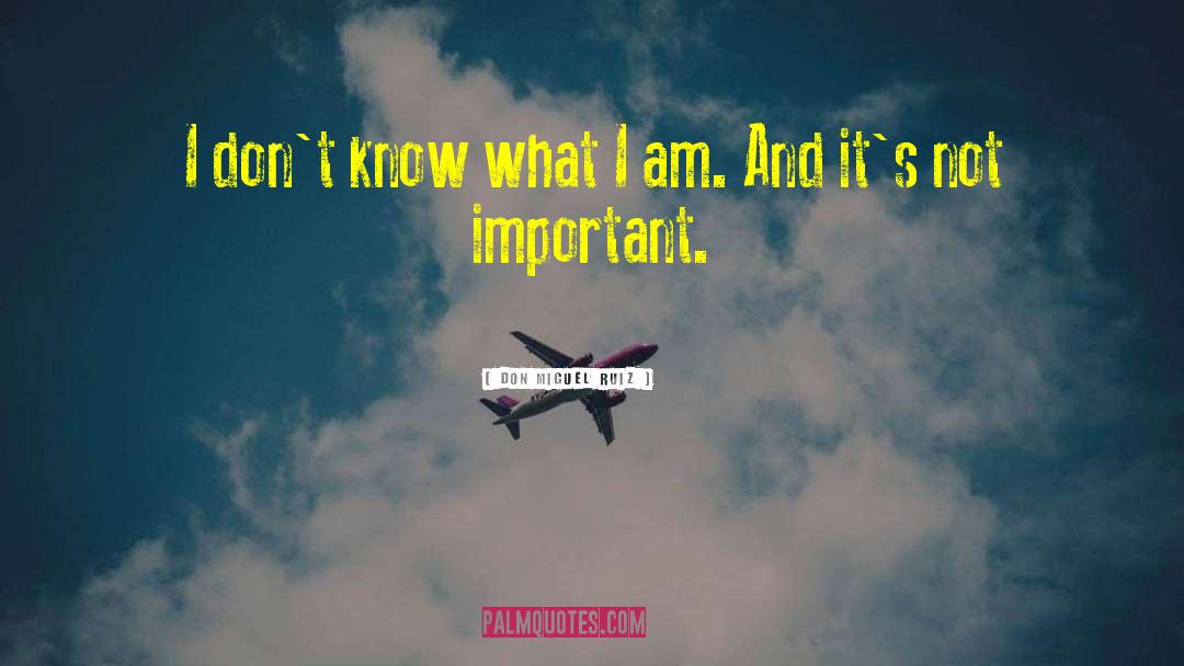 Don Miguel Ruiz Quotes: I don't know what I