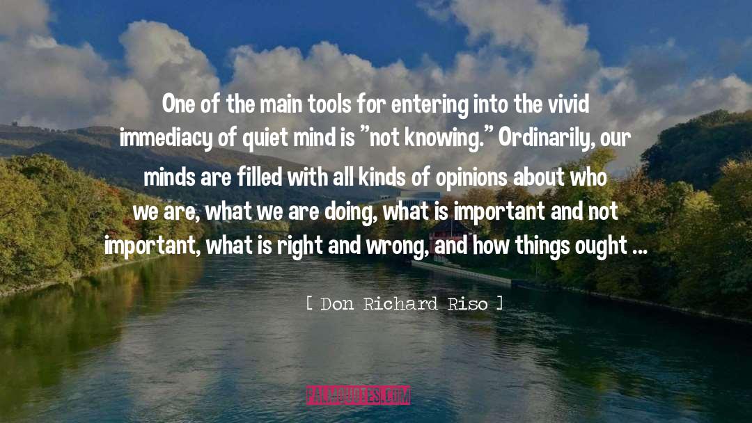 Don Richard Riso Quotes: One of the main tools