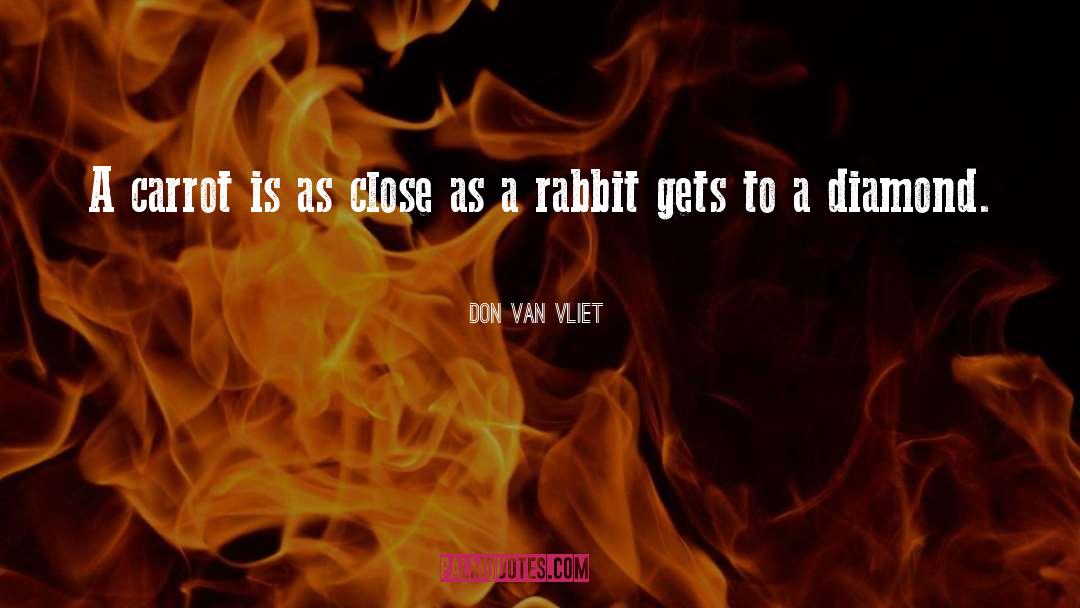 Don Van Vliet Quotes: A carrot is as close