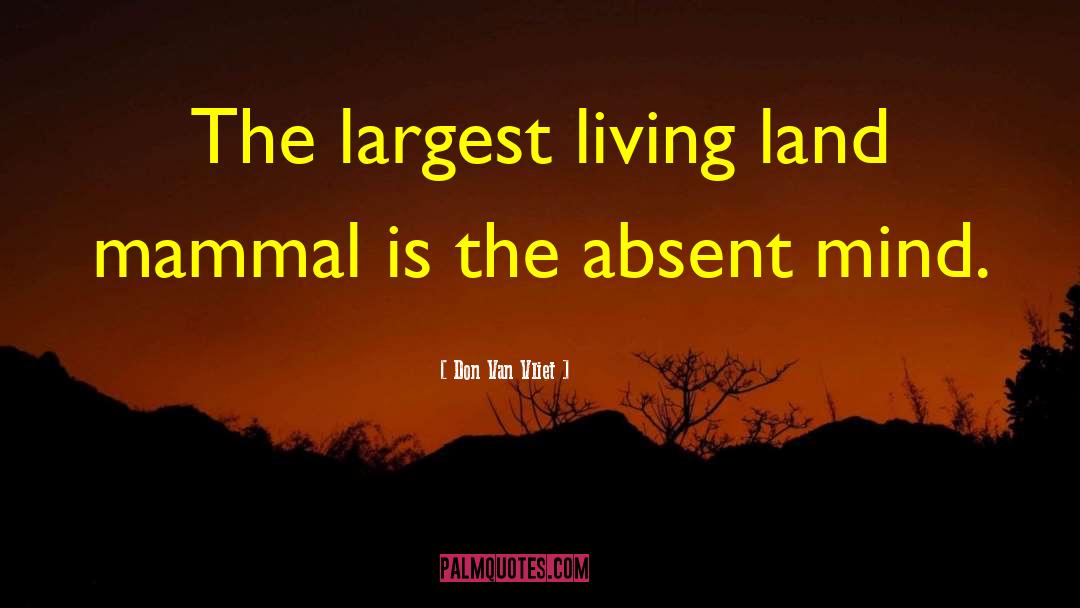 Don Van Vliet Quotes: The largest living land mammal