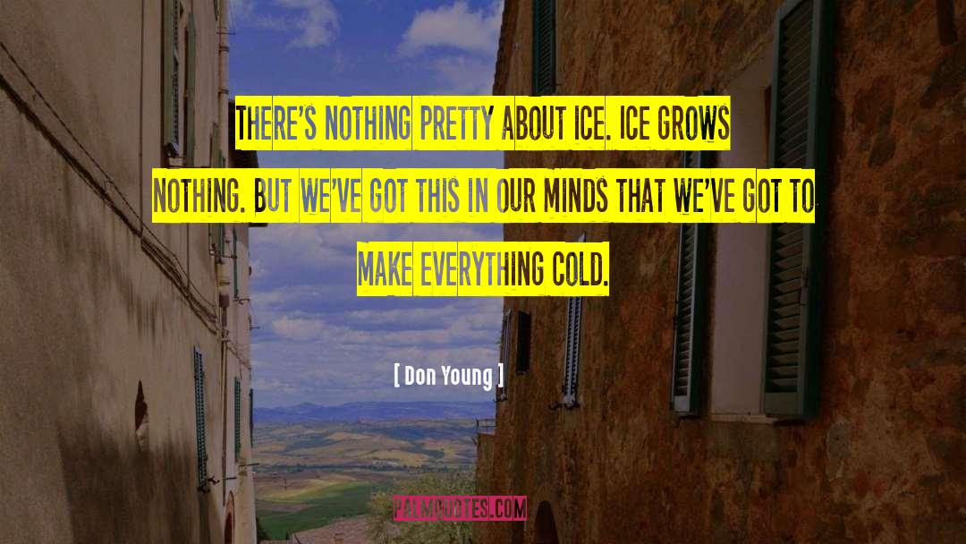 Don Young Quotes: There's nothing pretty about ice.