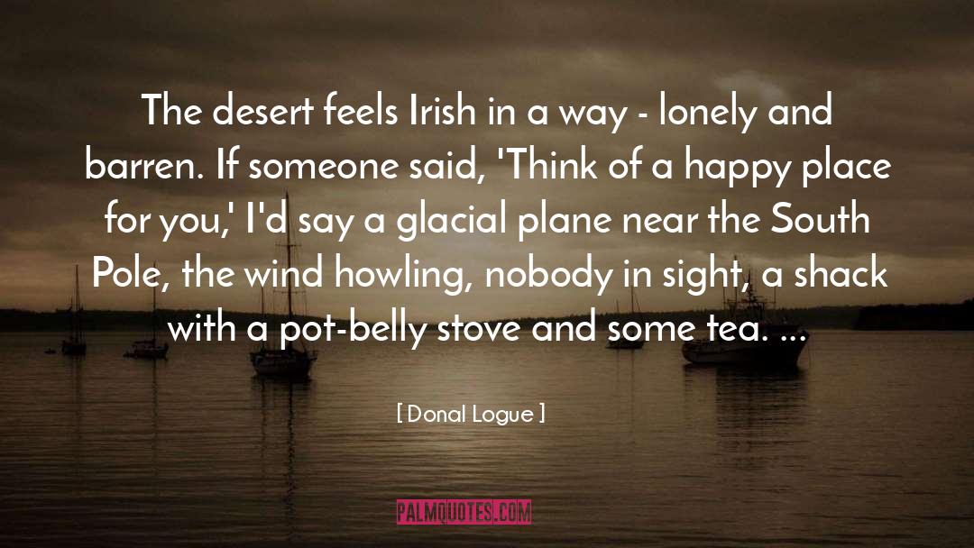 Donal Logue Quotes: The desert feels Irish in