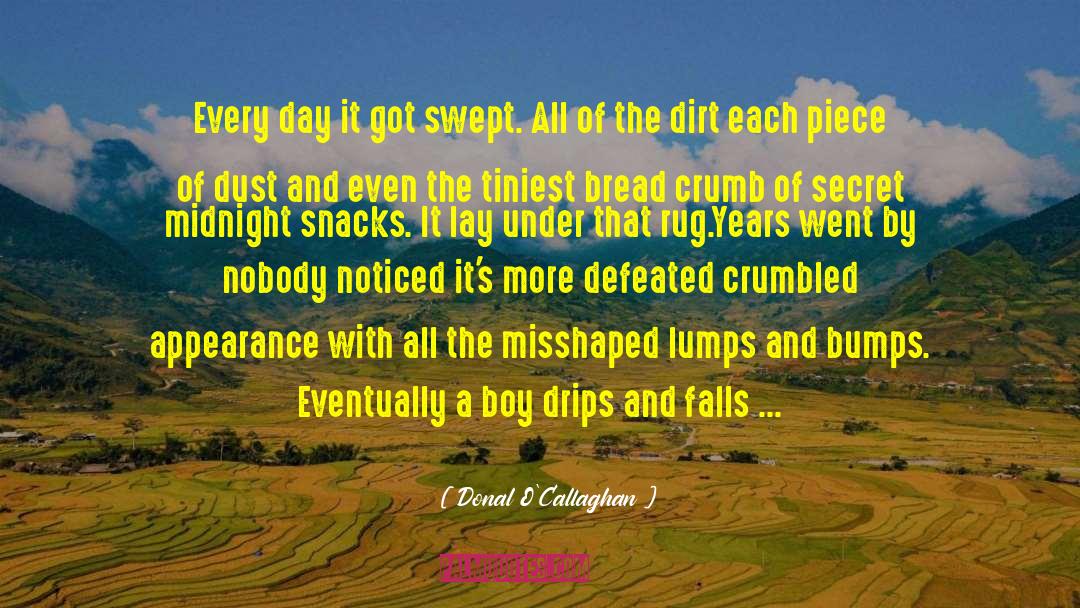 Donal O'Callaghan Quotes: Every day it got swept.