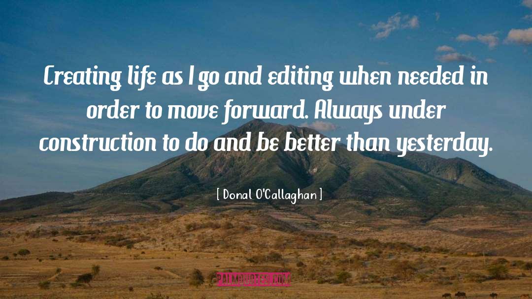 Donal O'Callaghan Quotes: Creating life as I go