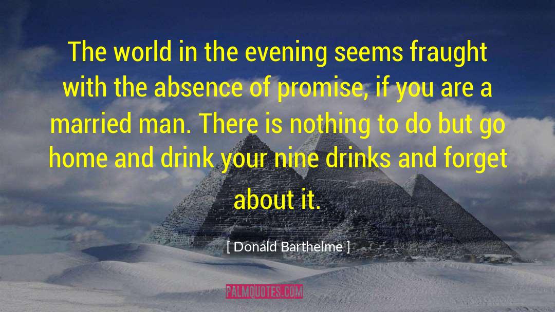 Donald Barthelme Quotes: The world in the evening