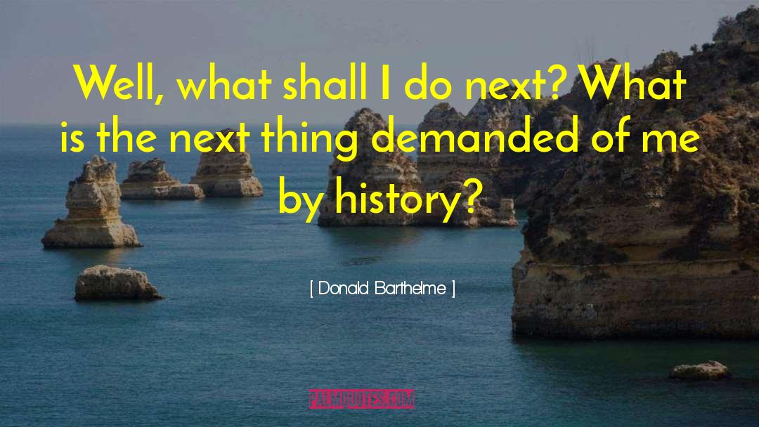 Donald Barthelme Quotes: Well, what shall I do