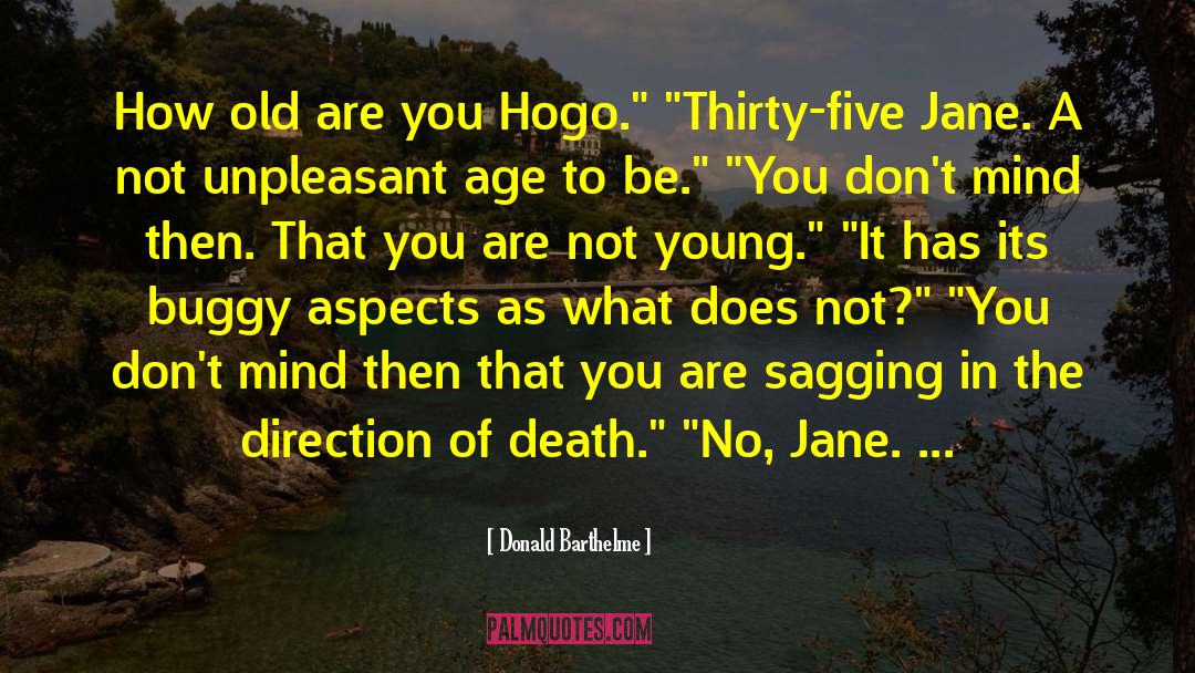 Donald Barthelme Quotes: How old are you Hogo.