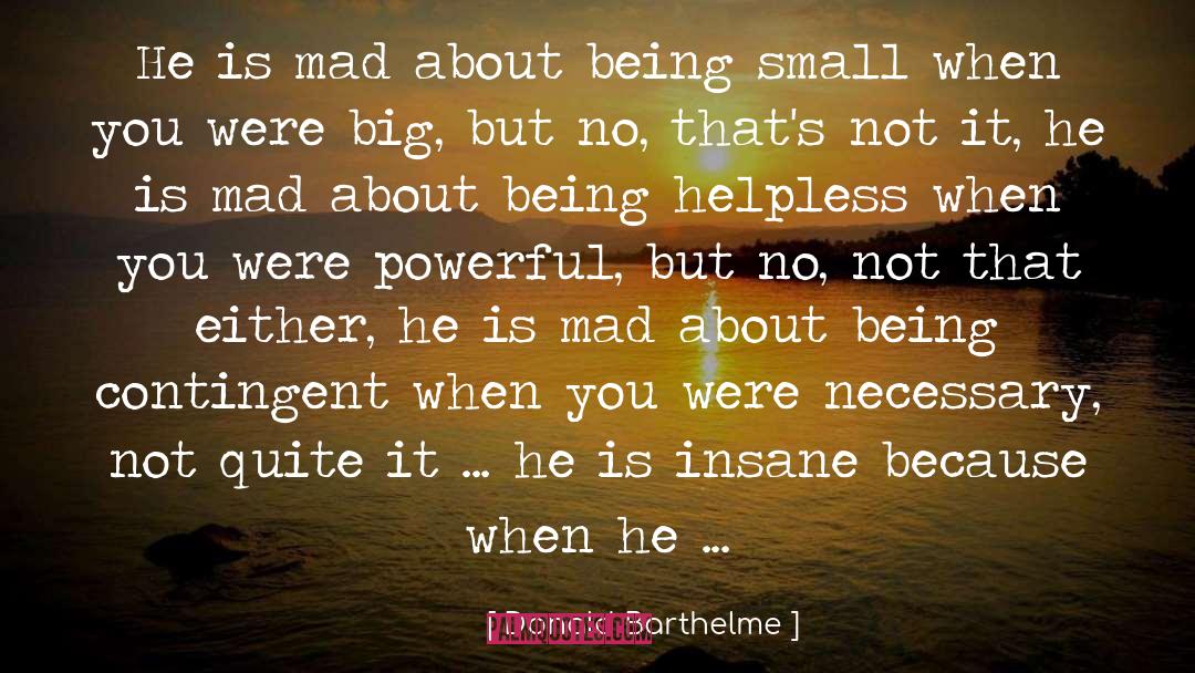 Donald Barthelme Quotes: He is mad about being