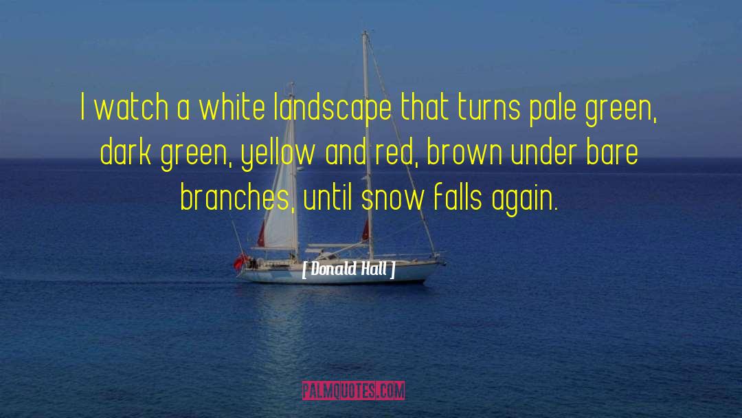 Donald Hall Quotes: I watch a white landscape