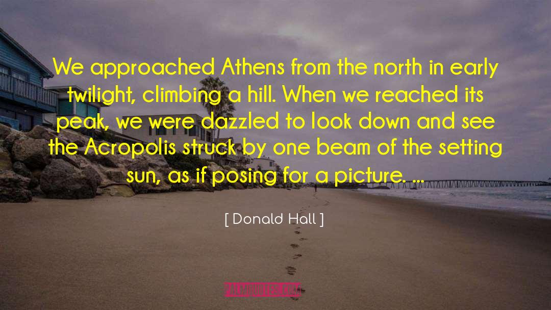 Donald Hall Quotes: We approached Athens from the