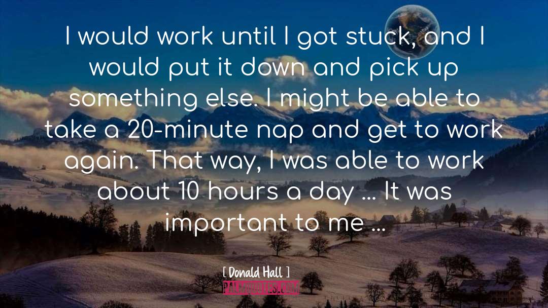 Donald Hall Quotes: I would work until I