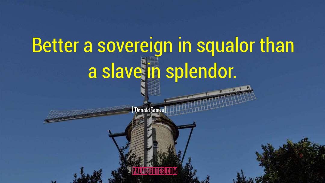 Donald James Quotes: Better a sovereign in squalor