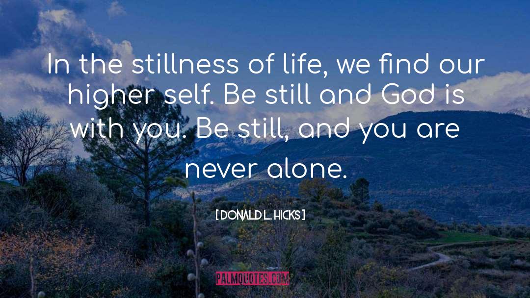 Donald L. Hicks Quotes: In the stillness of life,