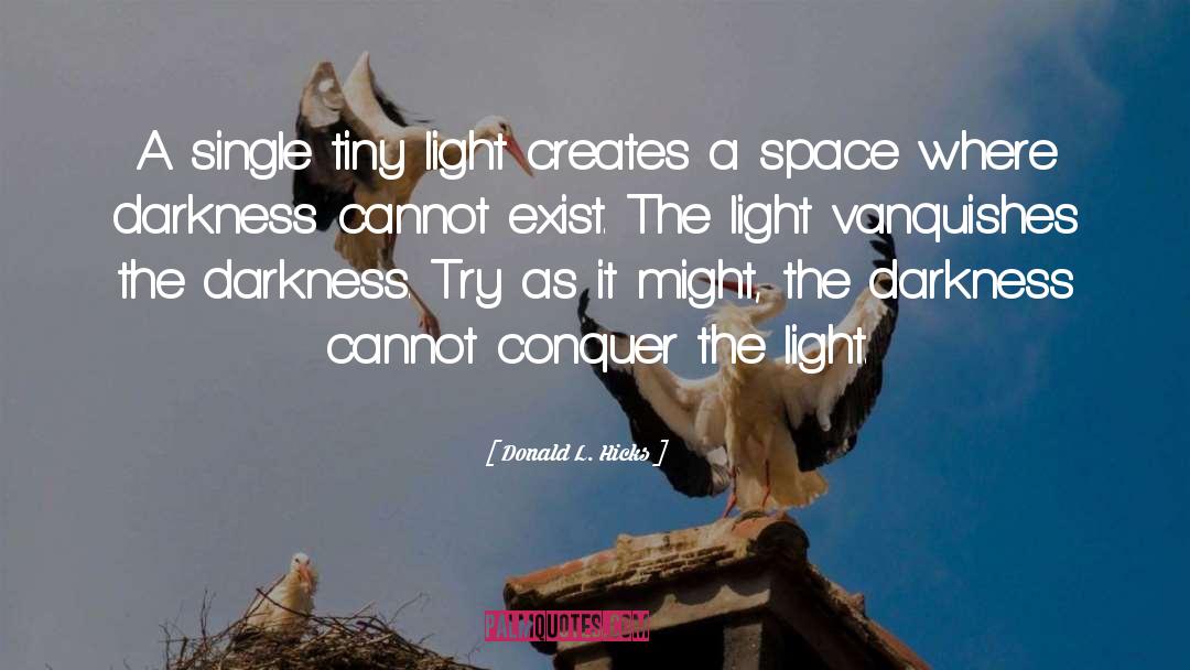 Donald L. Hicks Quotes: A single tiny light creates