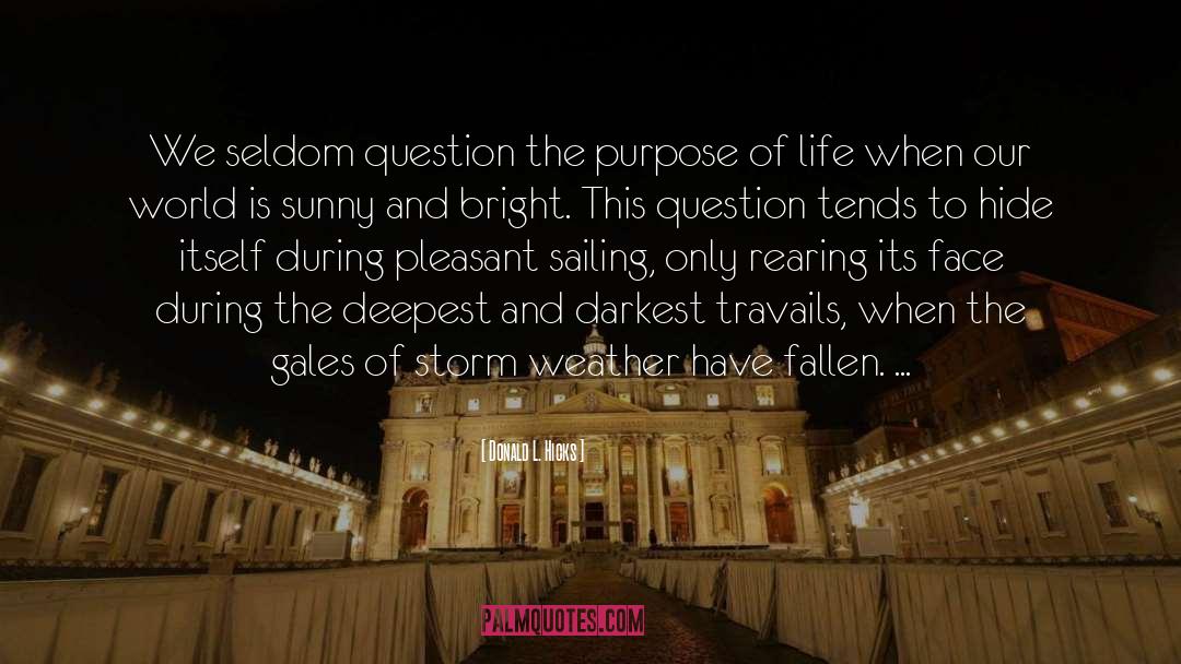 Donald L. Hicks Quotes: We seldom question the purpose