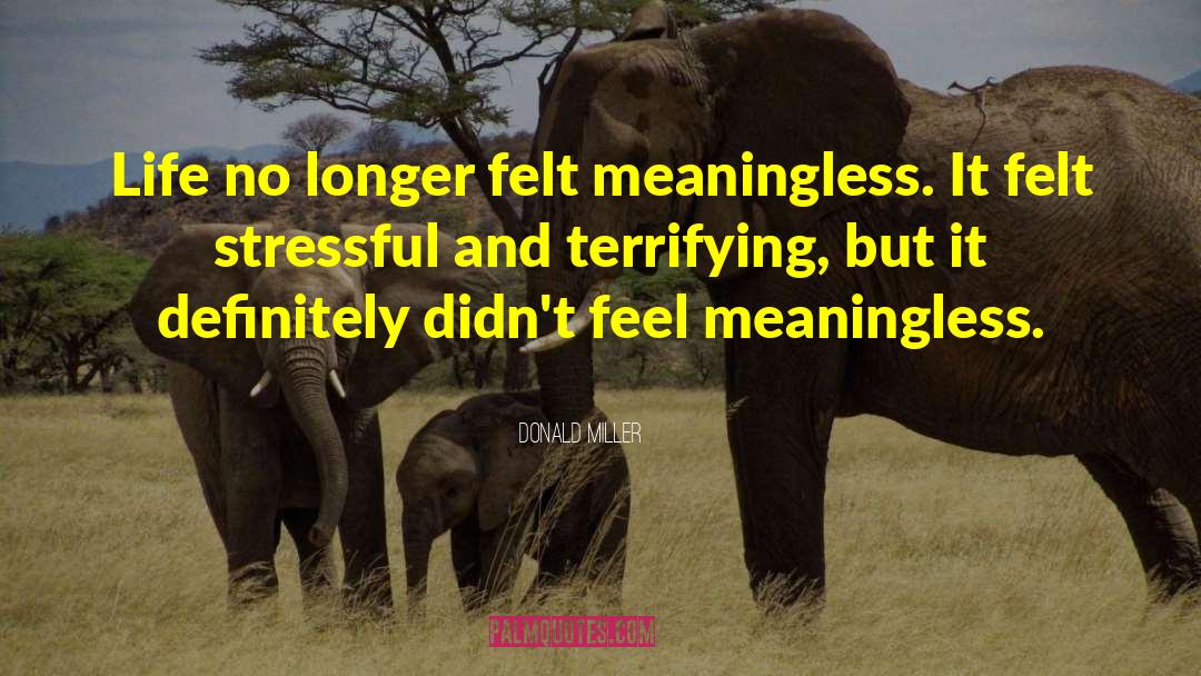 Donald Miller Quotes: Life no longer felt meaningless.