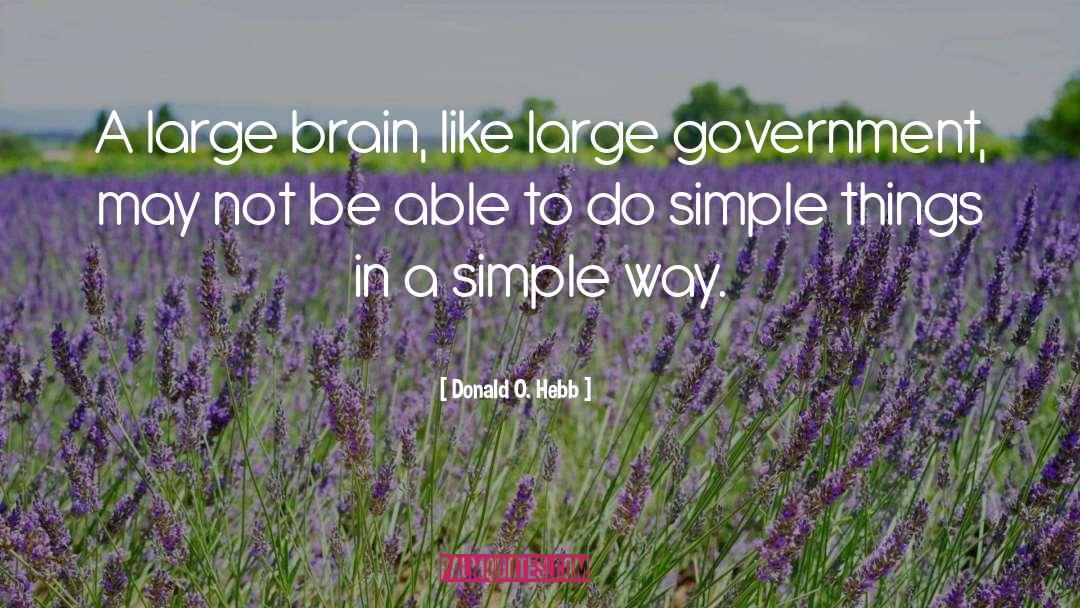 Donald O. Hebb Quotes: A large brain, like large