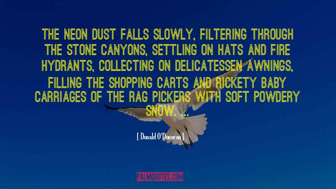 Donald O'Donovan Quotes: The neon dust falls slowly,