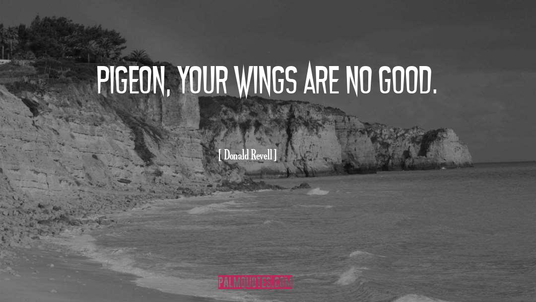 Donald Revell Quotes: Pigeon, your wings are no