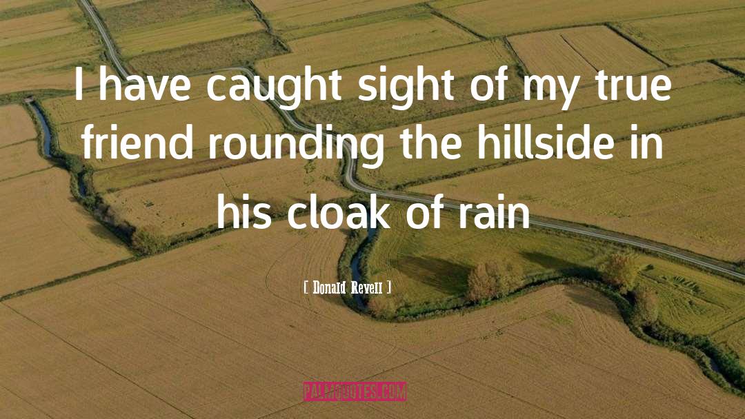 Donald Revell Quotes: I have caught sight of