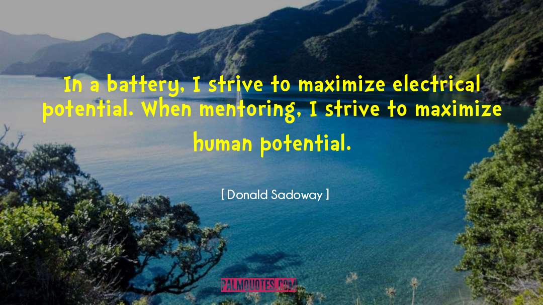 Donald Sadoway Quotes: In a battery, I strive